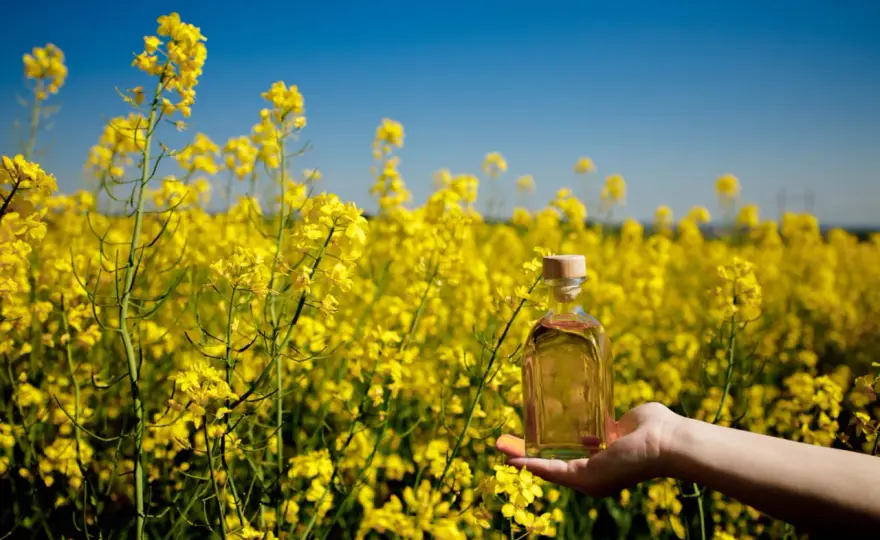 Lubrifiant agricole colza - Quand l'utiliser et comment ?