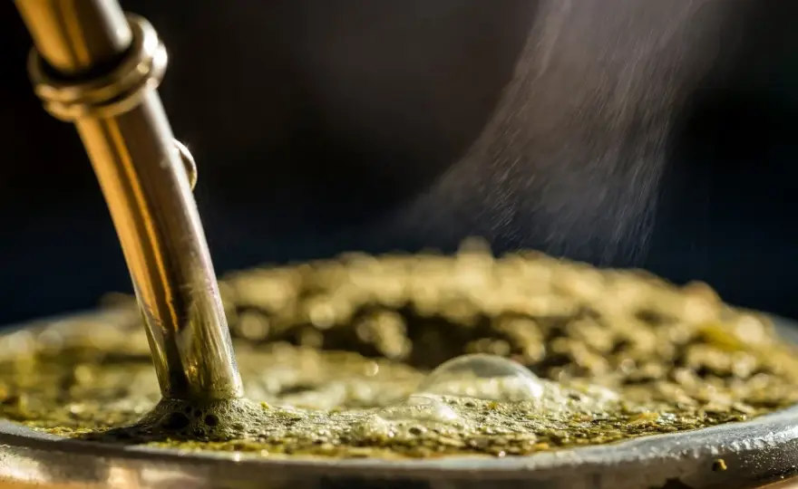 Yerba mate - Rakotwórcza czy bezpieczna? Jak pić bez ryzyka.
