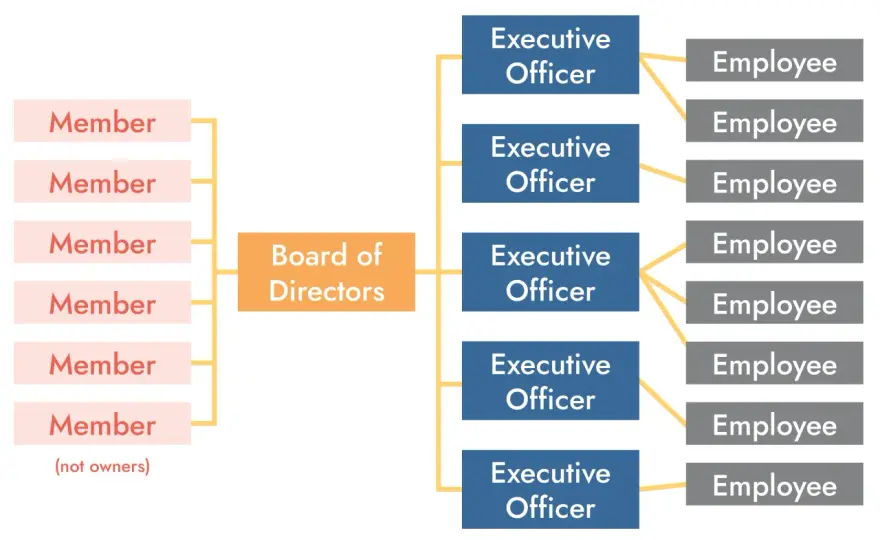 Nonprofit Board Governance Framework - Real-World Example