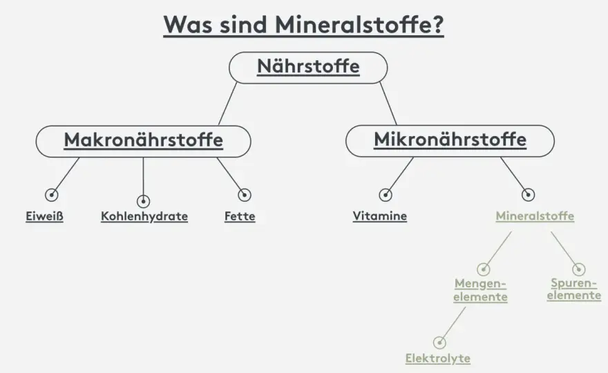 Mineralstoffe - Funktionen, Mangel & sinnvolle Ergänzung