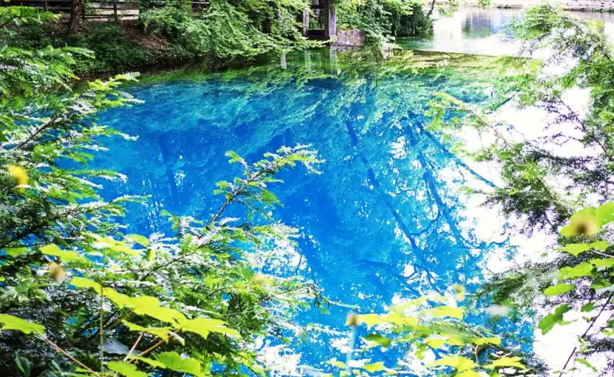 Blautopf Blaubeuren - Mehr als nur blaues Wasser entdecken