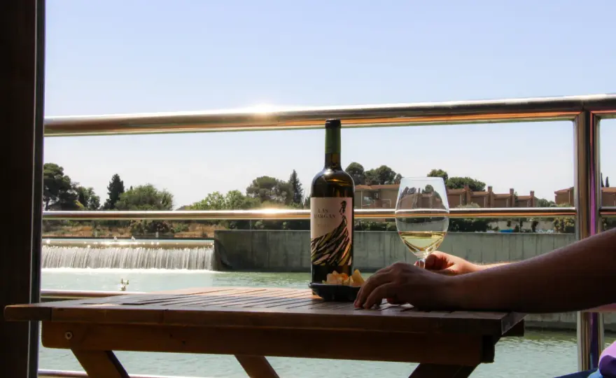 Elegir el mejor vino - Guía para acertar siempre