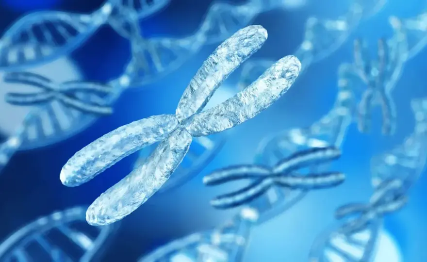 Zespół Klinefeltera - jak wygląda i kiedy szukać diagnozy