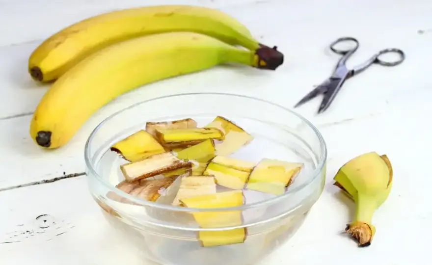 Nawóz z banana na trawnik? Kiedy działa, a kiedy szkodzi!