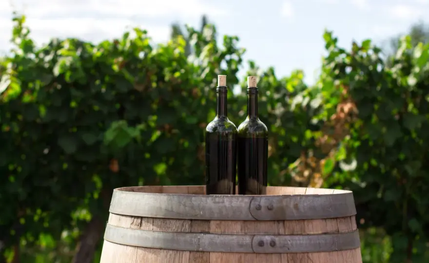 Wino wegańskie - co to znaczy i jak różni się od tradycyjnego?