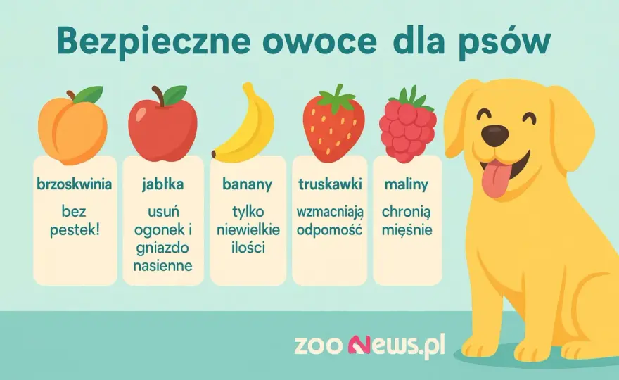 Brzoskwinia dla psa - Bezpieczna czy toksyczna? Sprawdź!