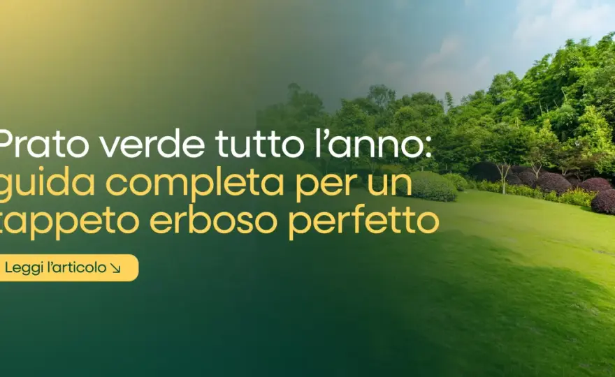 Prato sano tutto l'anno - Guida completa alla cura del tuo giardino