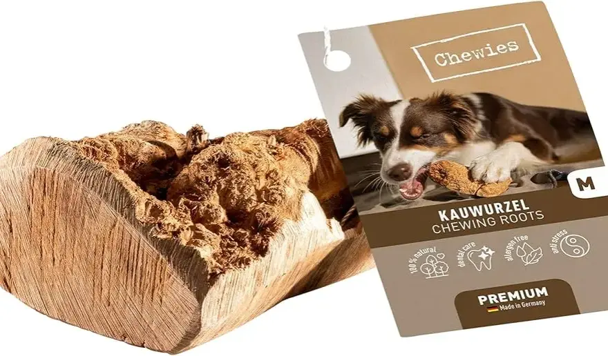 Korzeń dla psa: naturalna zabawka i bezpieczny gryzak dla twojego pupila