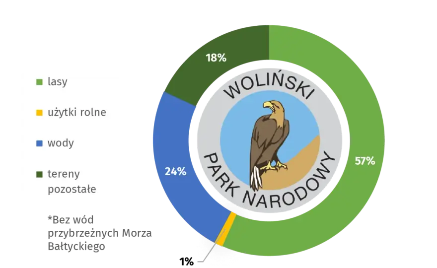 Co jest symbolem Wolińskiego Parku Narodowego? Poznaj orła bielika