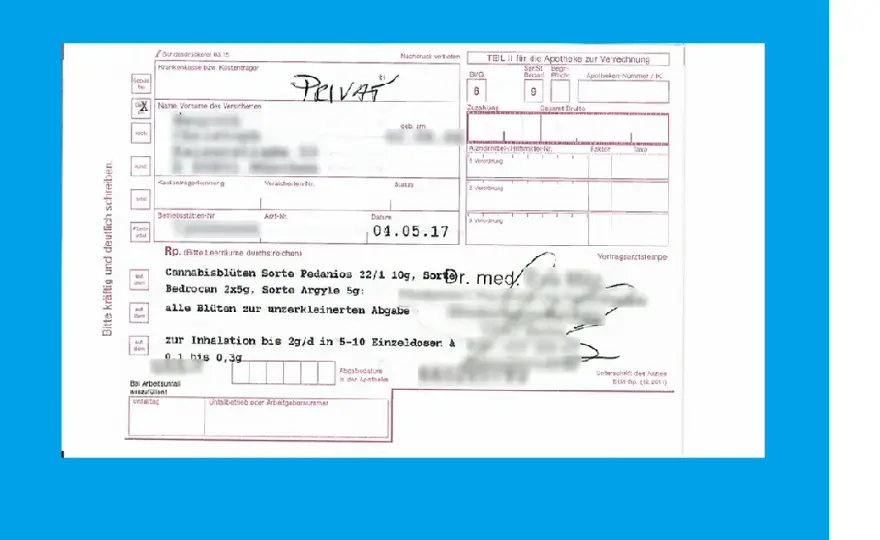 Privatrezept net: So einfach erhalten Sie Ihr medizinisches Cannabis rezept