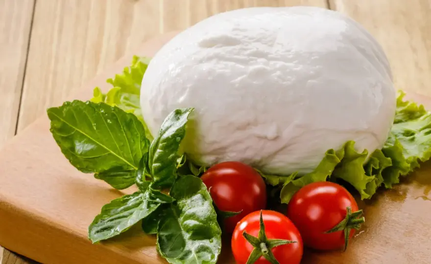 Mozzarella: ile białka ma i czy warto ją jeść?