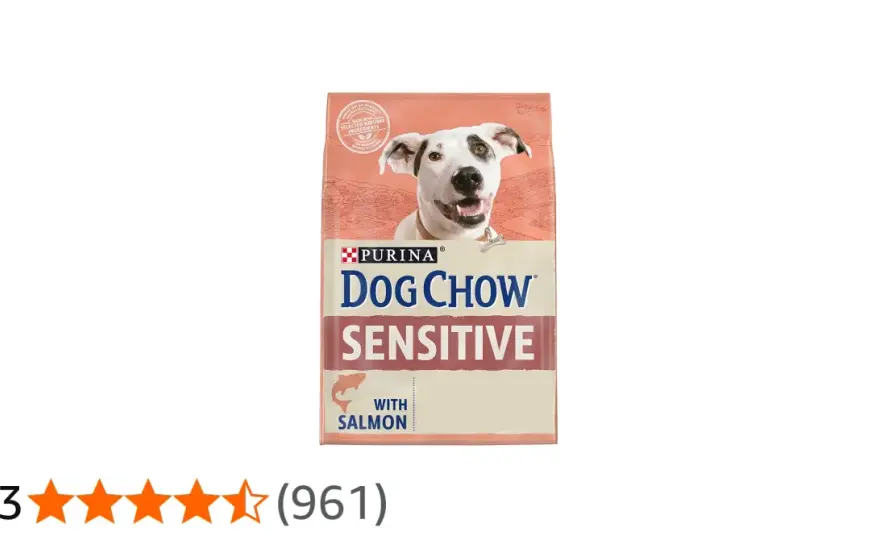 Chow Chow - Precio y Coste Real en España: ¿Te Conviene?