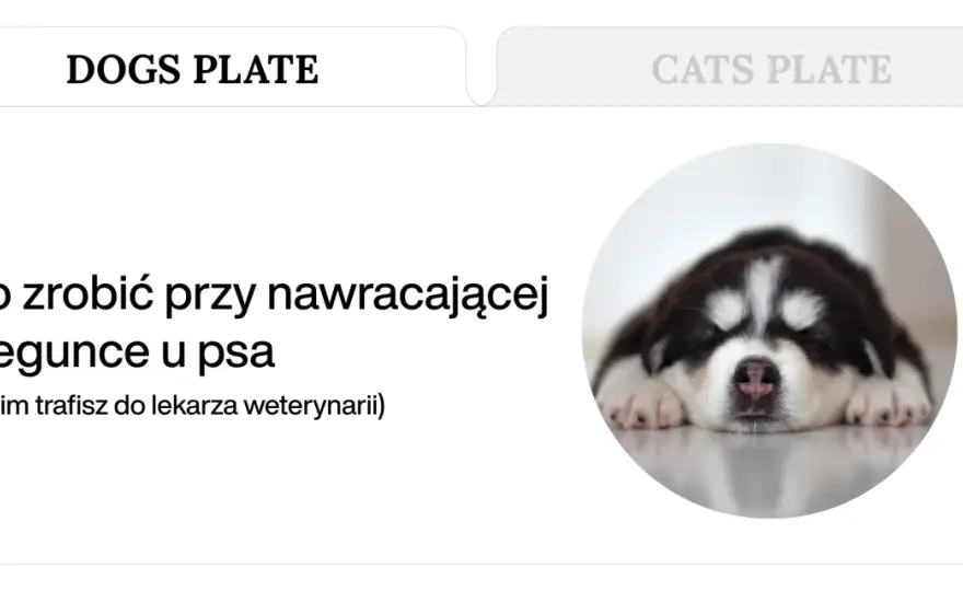 Biegunka u psa - Kiedy do weterynarza, a kiedy leczyć w domu?