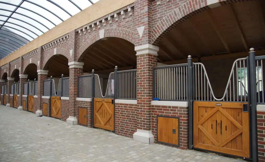 Box cheval - Dimensions, litière et sorties pour son bien-être