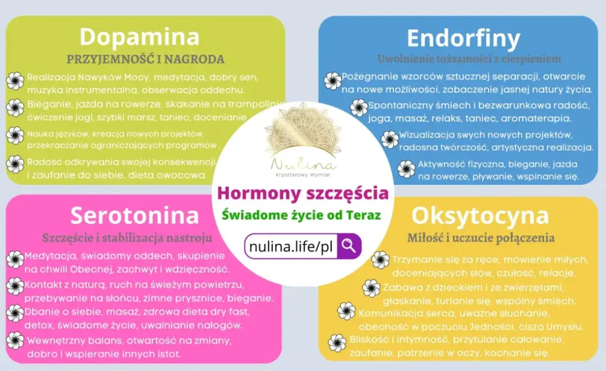 Hormony szczęścia - Co naprawdę robią i jak je wspierać?