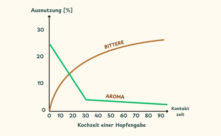 Hopfen im Bier - Bittere, Aroma & Kultur verstehen