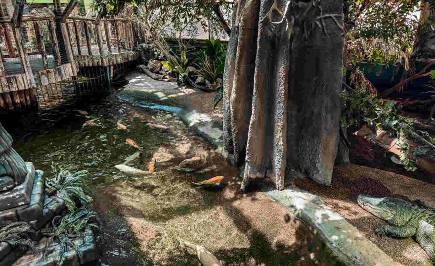 Tropicarium w Budapeszcie - Niezapomniane atrakcje i ceny biletów