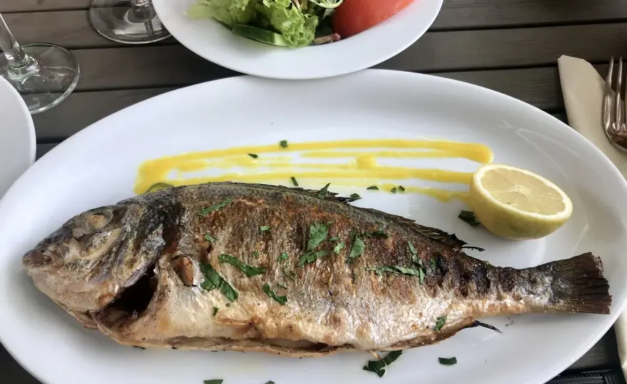 Dorade à la Plancha - Marinades, Cuisson Parfaite et Sauces