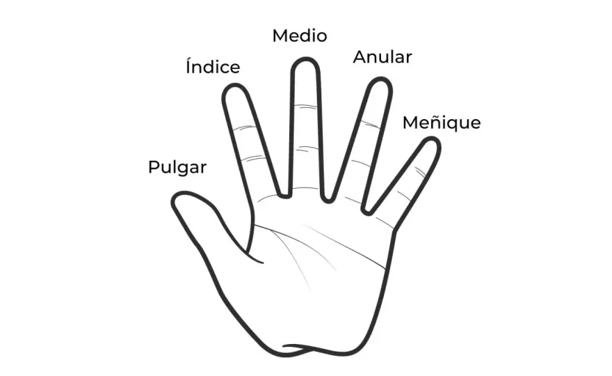 Significado de anillos en cada dedo - ¿Qué comunica el tuyo?