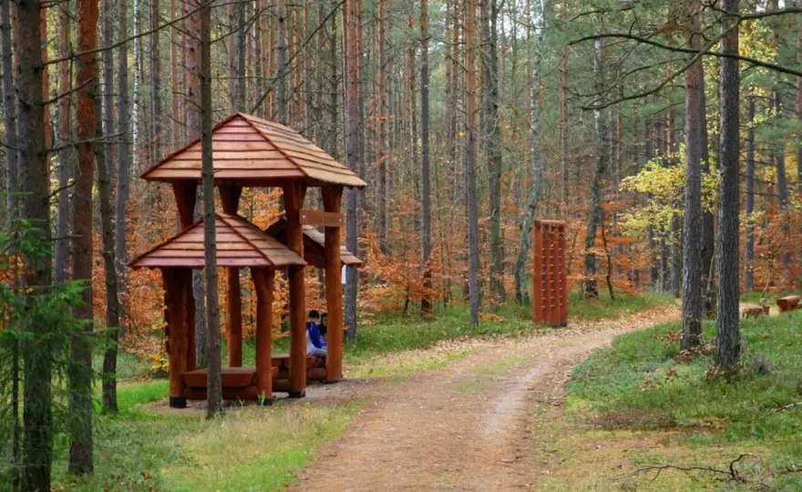 Leśna ścieżka zdrowia w Luzinie - Którą trasę wybrać na spacer?