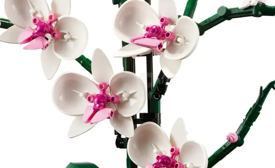 LEGO Orchidee aufbauen - Tipps für die perfekte Form