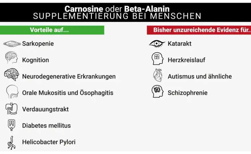 Beta-Alanin sinnvoll einsetzen - Wirkung, Dosierung und Risiken
