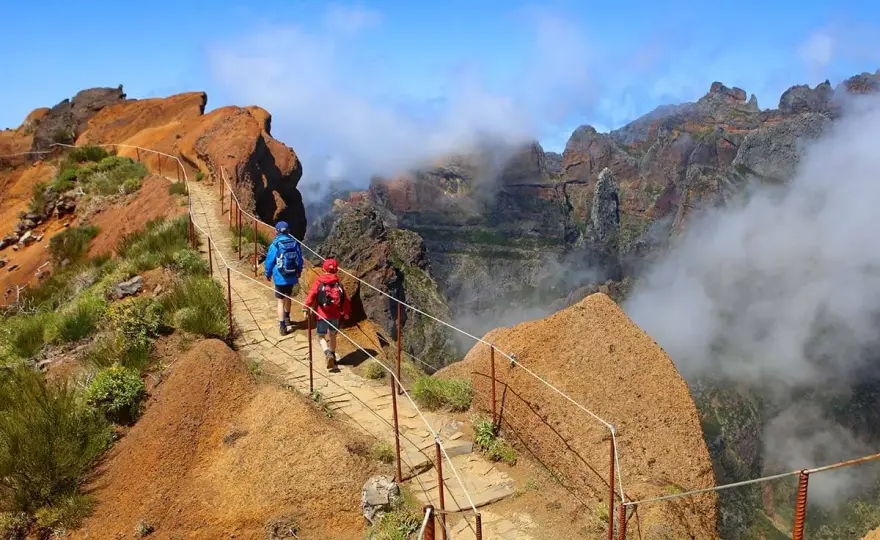 Best Things to Do in Madeira for a First Trip
