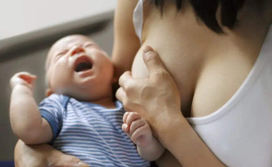 Mastite infectieuse - peut-on continuer à allaiter ?