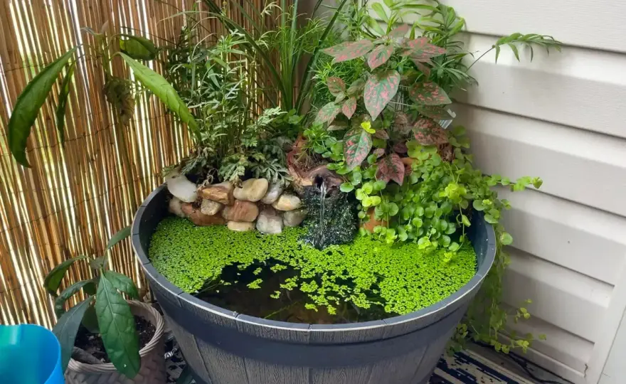 Kleiner Gartenteich - So wird er schön & pflegeleicht