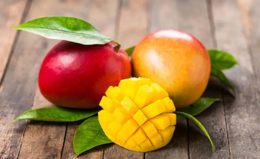 Kiedy jest sezon na mango? Sprawdź, kiedy świeże mango jest najlepsze