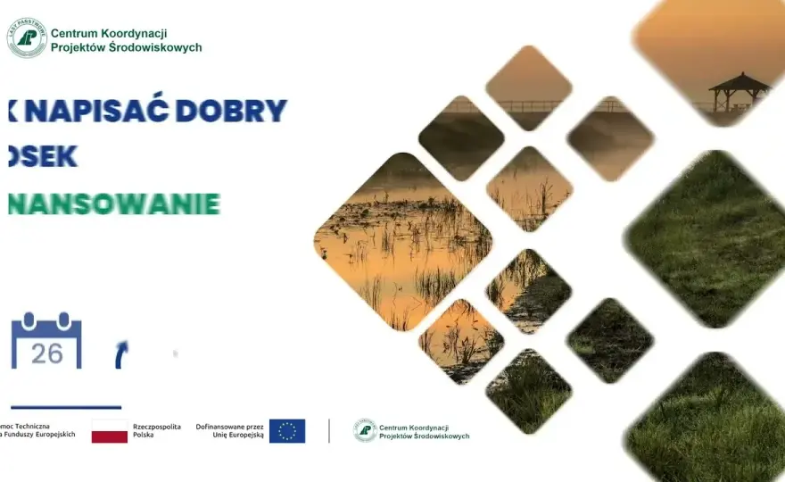 Jak napisać prośbę o dofinansowanie, aby zwiększyć szanse na sukces