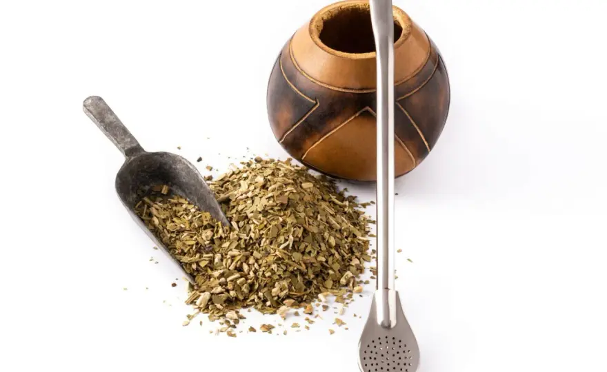 Rodzaje yerba mate - Jak wybrać idealną dla siebie?