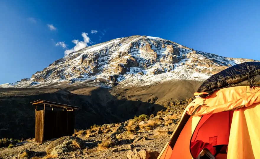 Beste Reisezeit für Tansania - Safari, Sansibar und Kilimandscharo