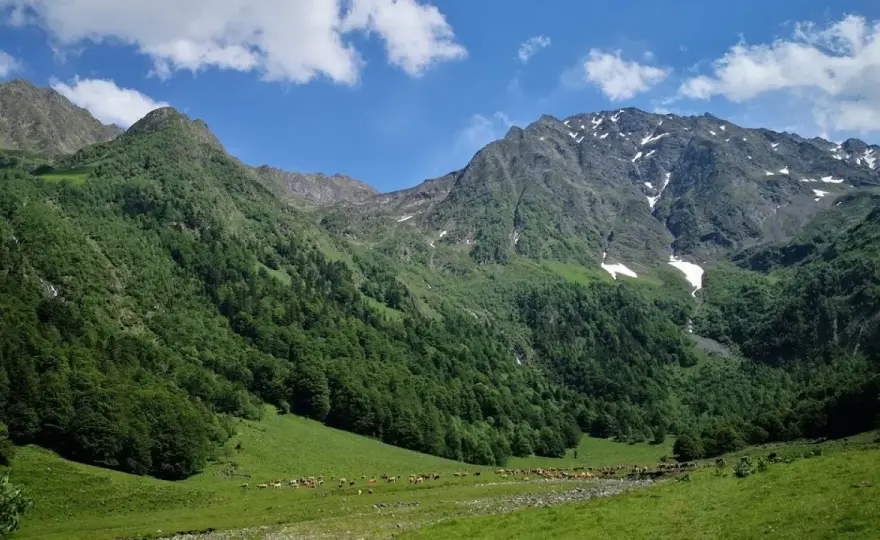 Artiga de Lin - Guía completa para tu escapada al Pirineo