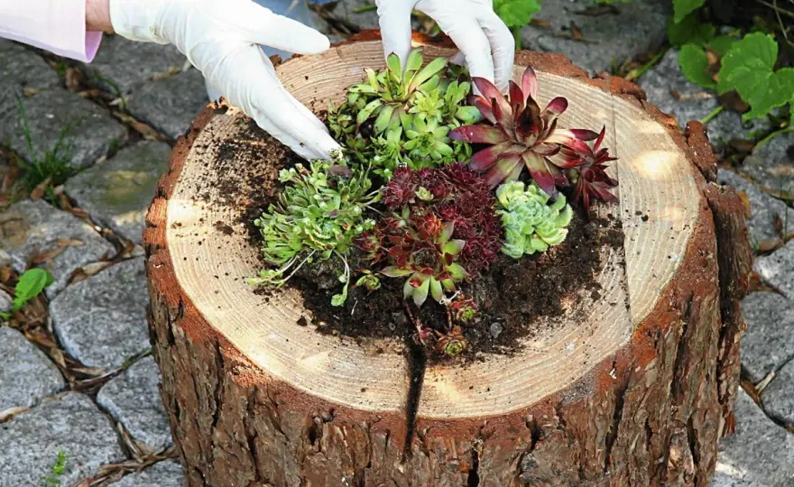 Jak zbudować drewniany kwietnik? Kompletny poradnik DIY