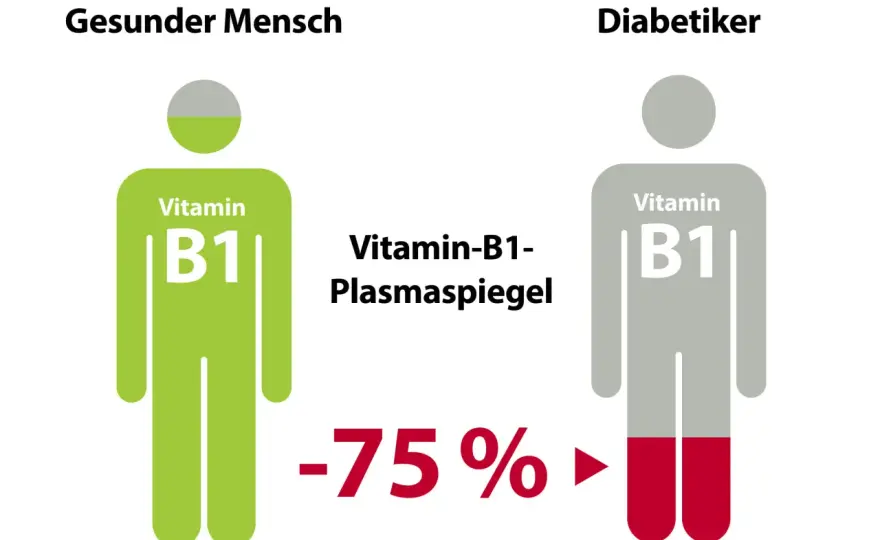 Thiamin im Alter - Bedarf, Quellen und Mangelzeichen