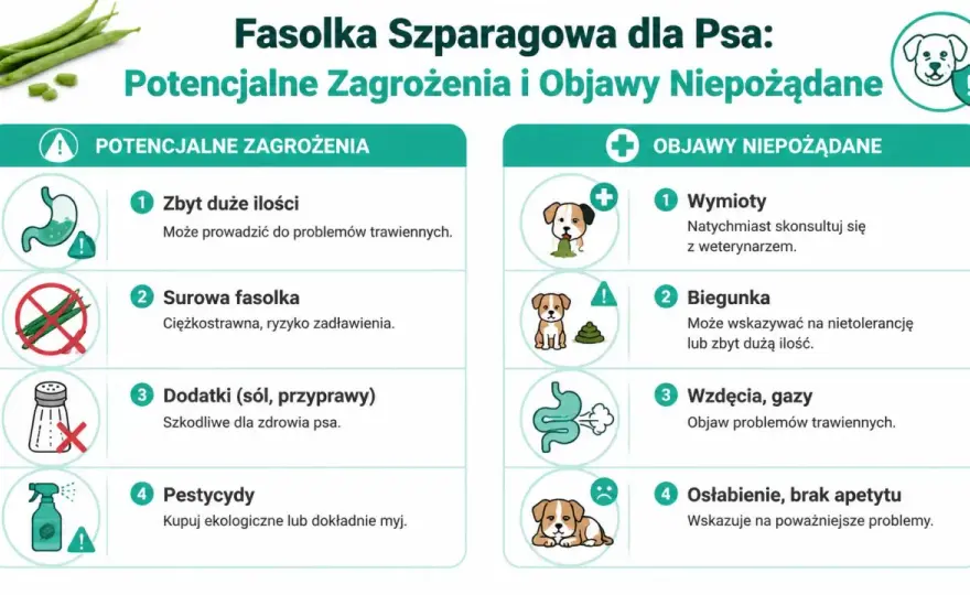 Fasolka szparagowa dla psa - Czy jest bezpieczna?