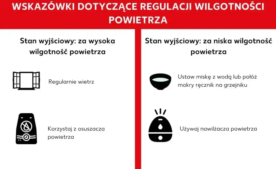 Jak zwiększyć wilgotność w domu bez pleśni?