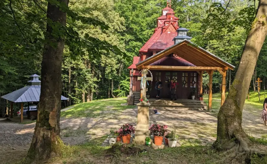 Jawor (Beskid Niski) - łatwa trasa z Wysowej. Czy warto?