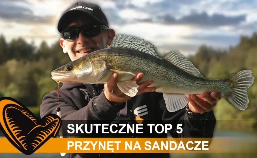 Przynęty na sandacze: Sekrety skutecznego łowienia. Poradnik eksperta