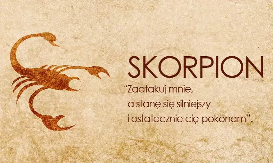 Jak postępować ze Skorpionem? Kluczowe porady dla Ciebie