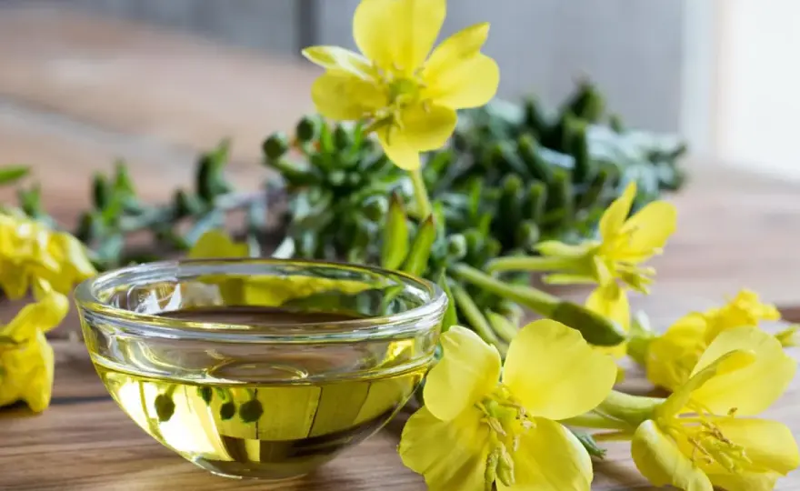 Aceite de onagra - qué aporta de verdad y cómo elegirlo bien