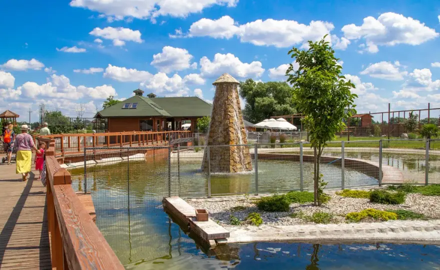 Najlepsze zoo w Polsce - Wrocław, Łódź czy Gdańsk? Które wybrać?