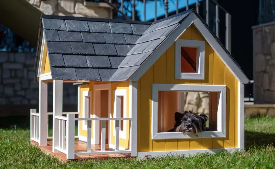 Buda dla psa z przedsionkiem DIY: Projekt i budowa krok po kroku