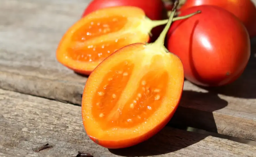 Tamarillo (tomate de palo) - Qué es, cómo usarlo y recetas