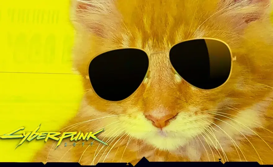 Cyberpunk kot: nietypowy przewodnik po adopcji futurystycznego przyjaciela