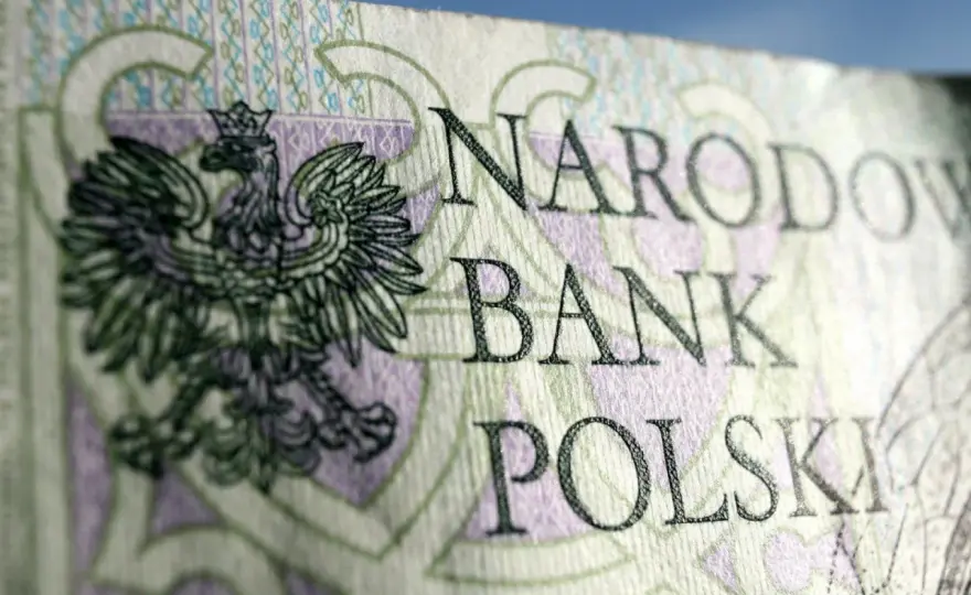 Gdzie kupić banknot 19 zł NBP? Sprawdź najlepsze opcje zakupu