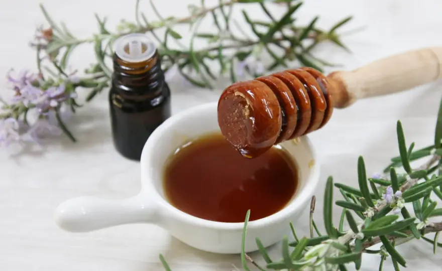 Estratto di rosmarino fai da te - infuso, macerato o tintura?