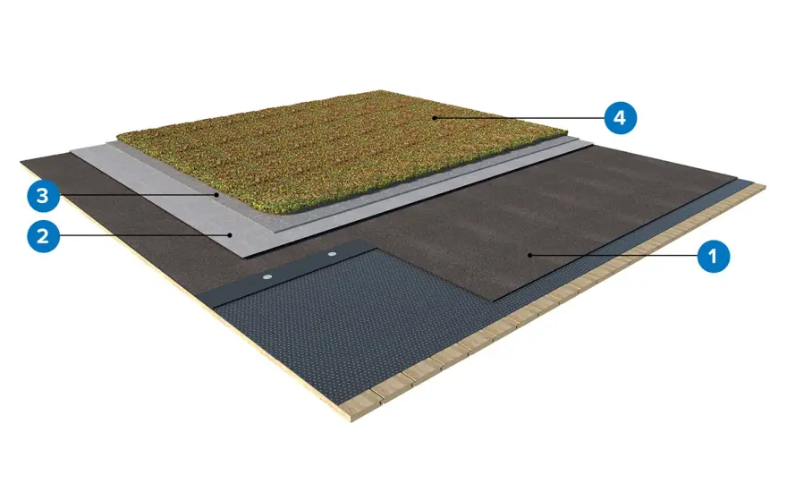 Sedumtakets uppbyggnad - renovering, vikt och skötsel