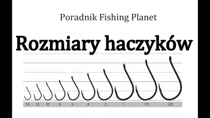 Jaki haczyk na jesiotra? Rozmiar, kształt, typ - kompletny przewodnik